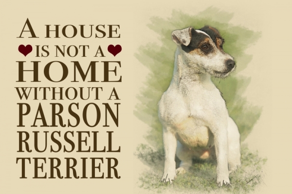 Metallschild Parson Russell Terrier